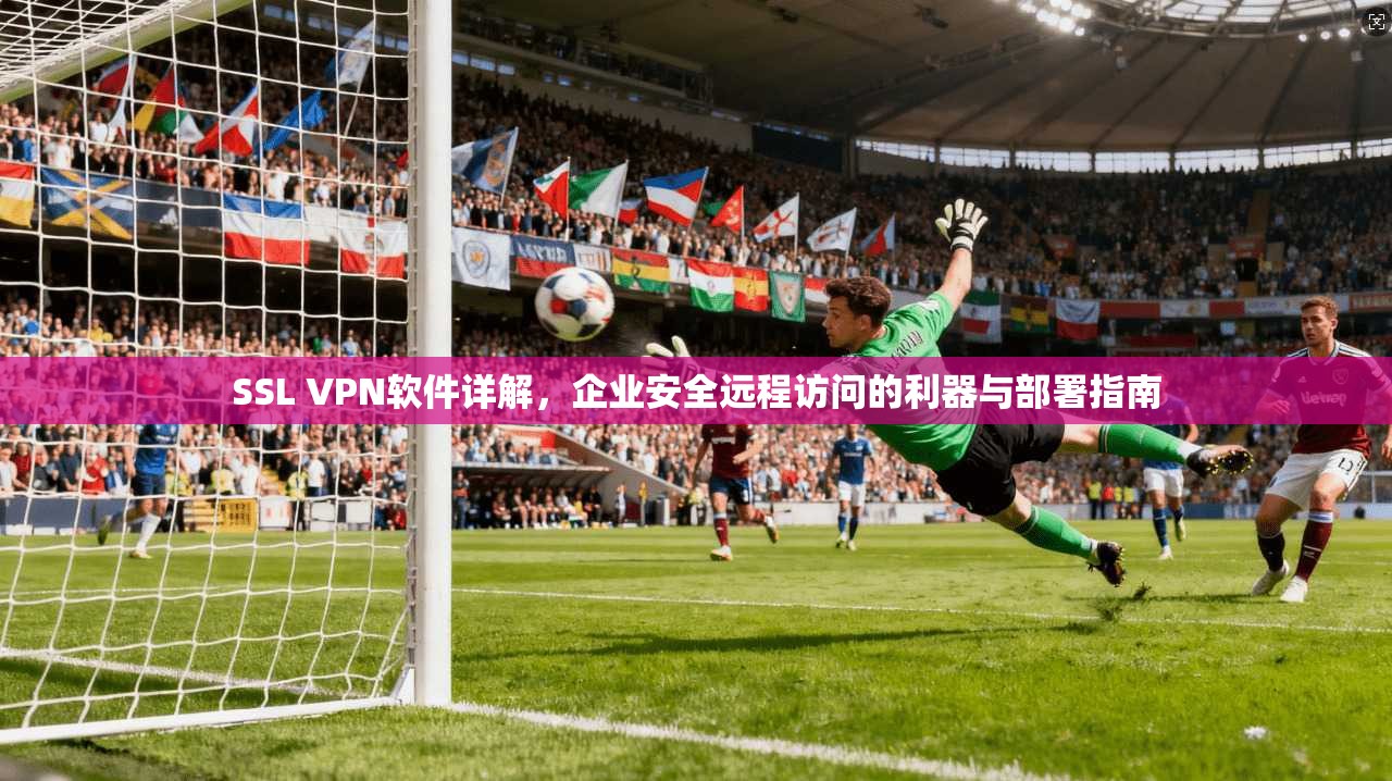 SSL VPN软件详解，企业安全远程访问的利器与部署指南