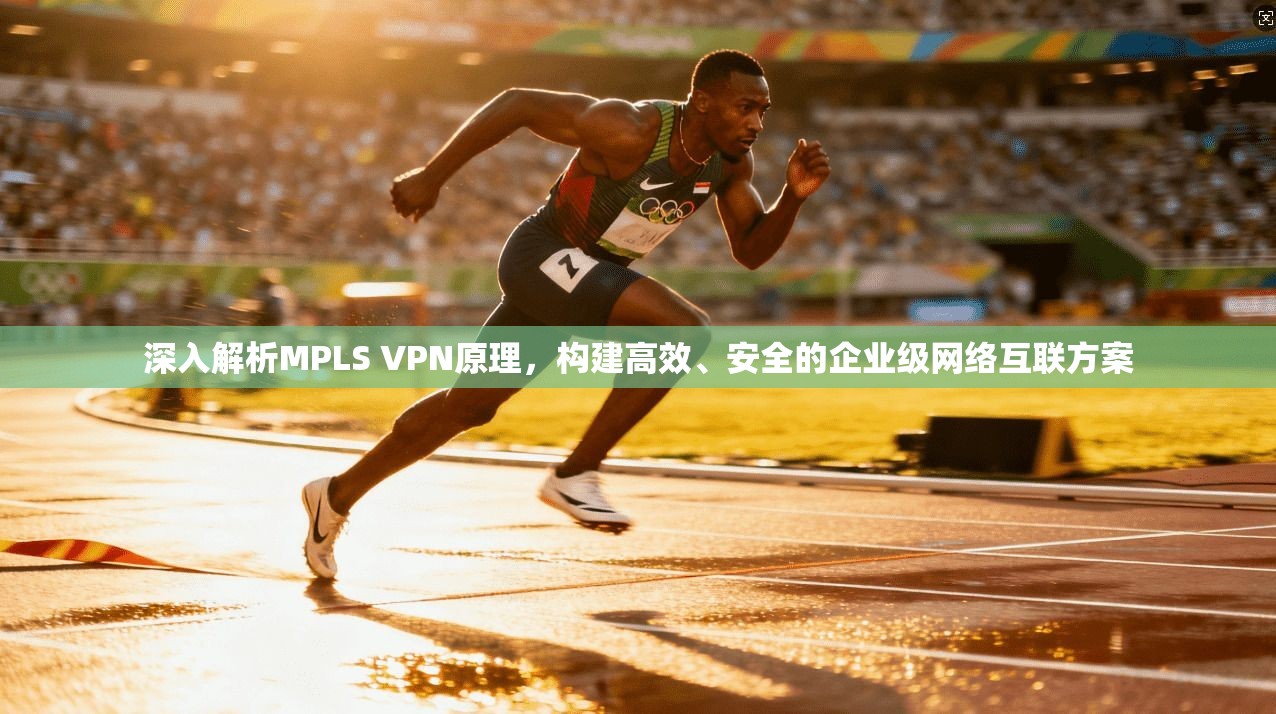深入解析MPLS VPN原理，构建高效、安全的企业级网络互联方案