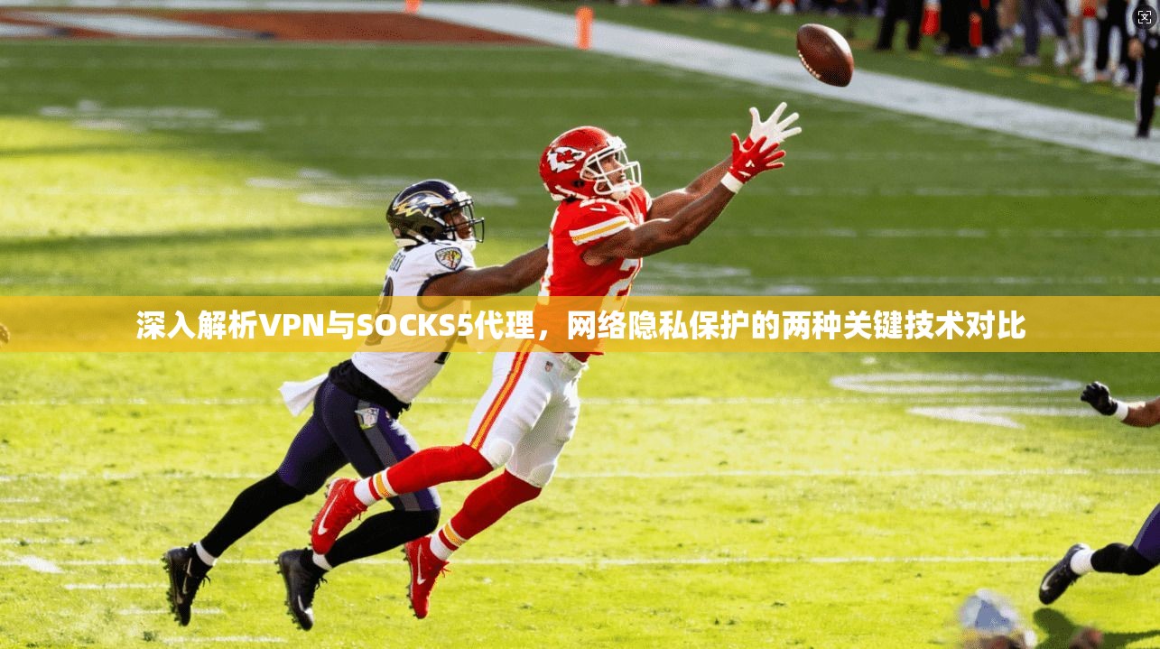 深入解析VPN与SOCKS5代理，网络隐私保护的两种关键技术对比