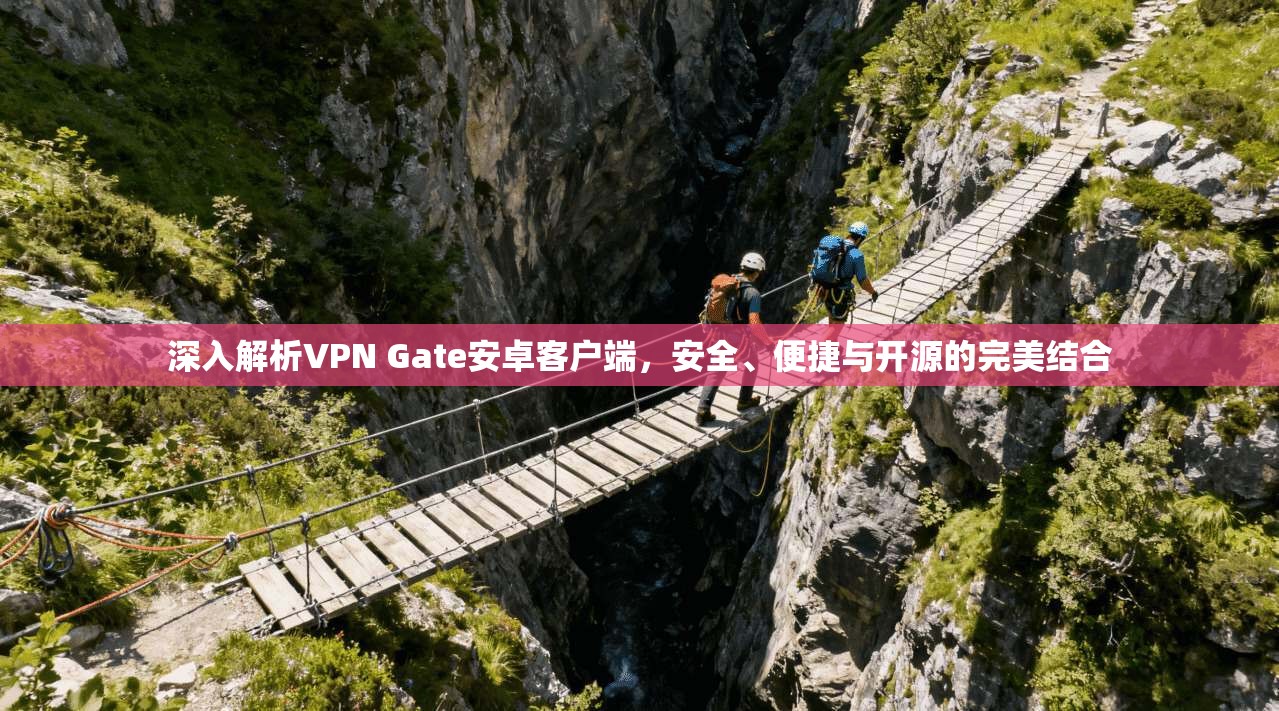 深入解析VPN Gate安卓客户端，安全、便捷与开源的完美结合