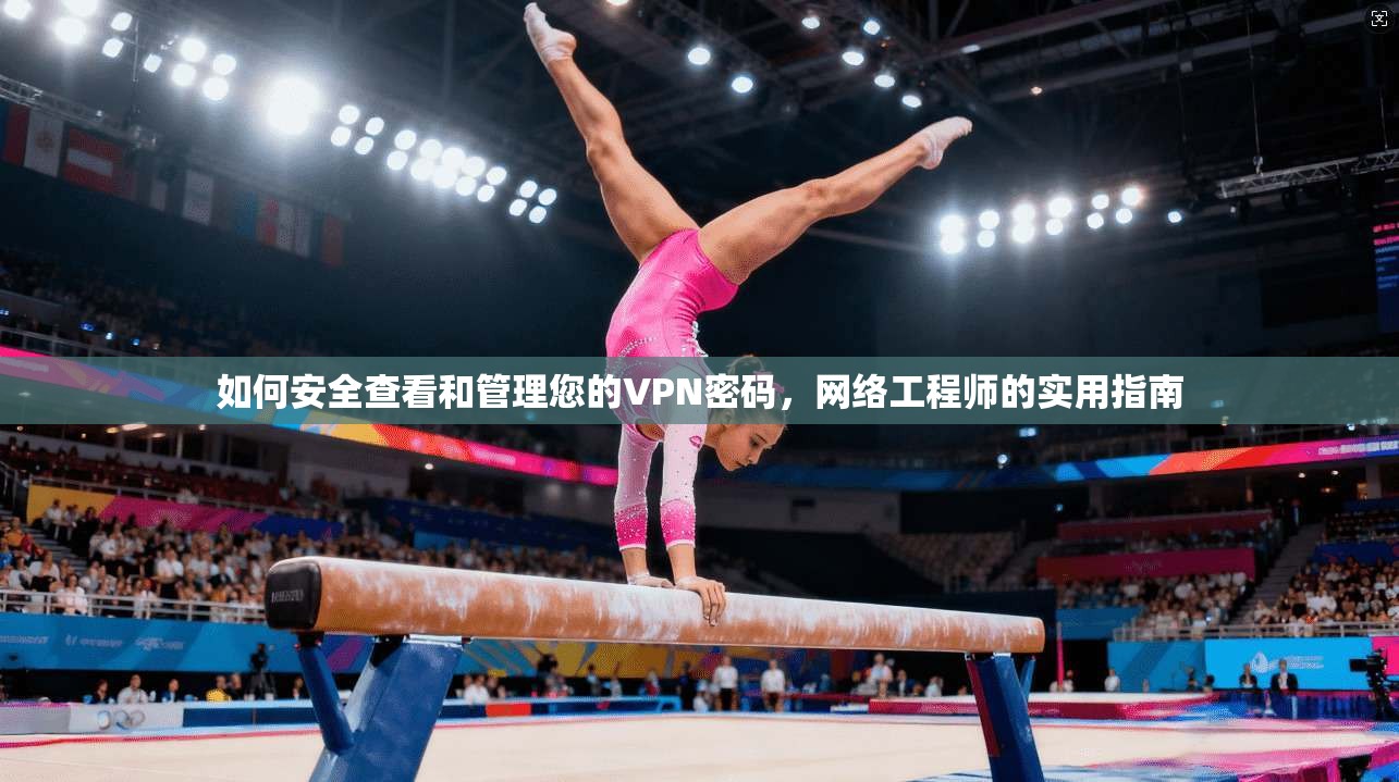 如何安全查看和管理您的VPN密码，网络工程师的实用指南
