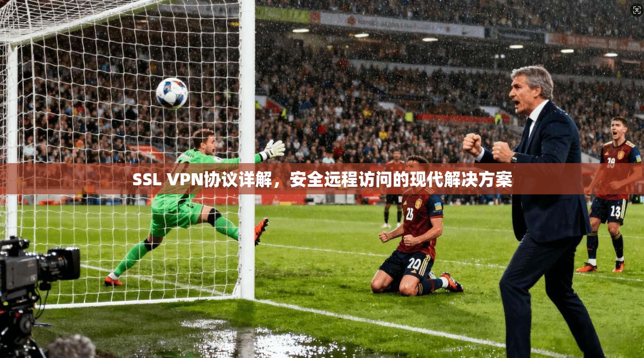 SSL VPN协议详解，安全远程访问的现代解决方案