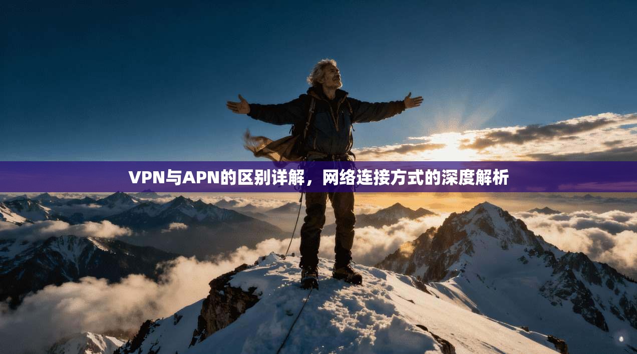 VPN与APN的区别详解，网络连接方式的深度解析