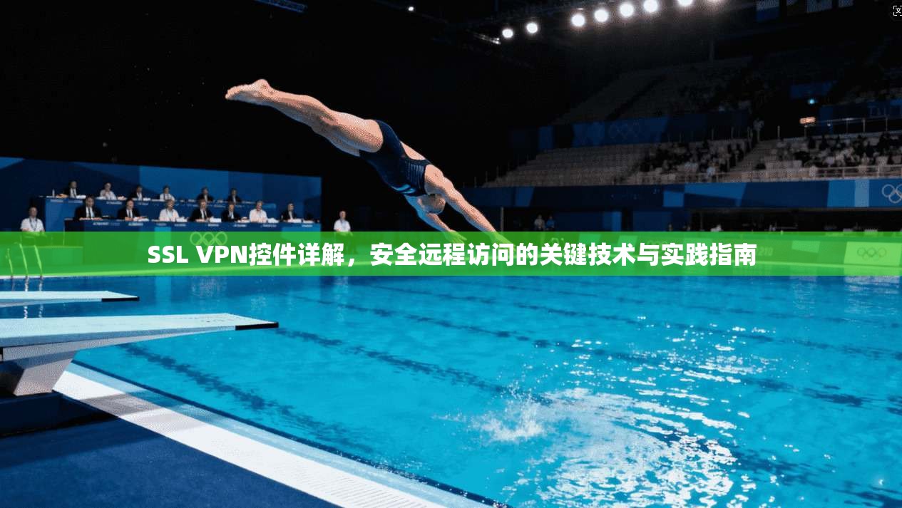 SSL VPN控件详解，安全远程访问的关键技术与实践指南