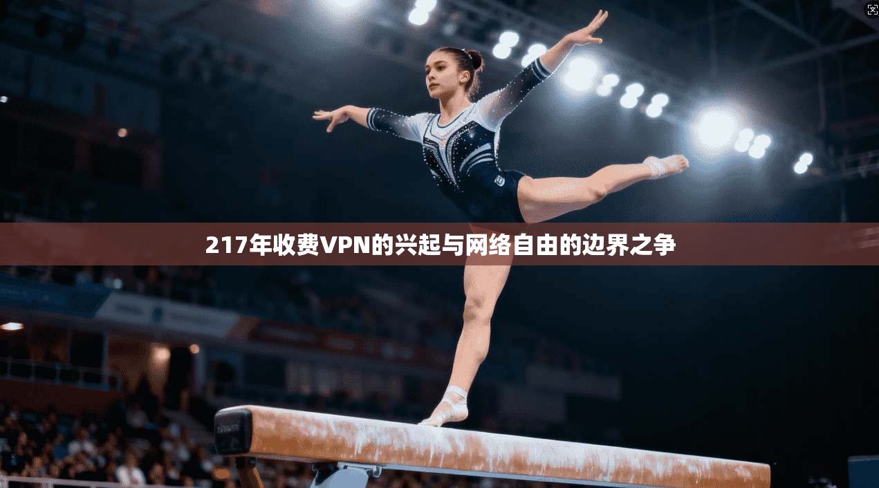 217年收费VPN的兴起与网络自由的边界之争