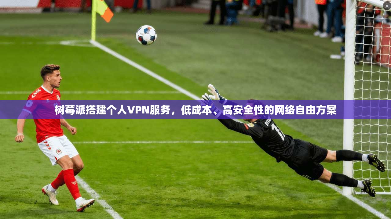 树莓派搭建个人VPN服务，低成本、高安全性的网络自由方案
