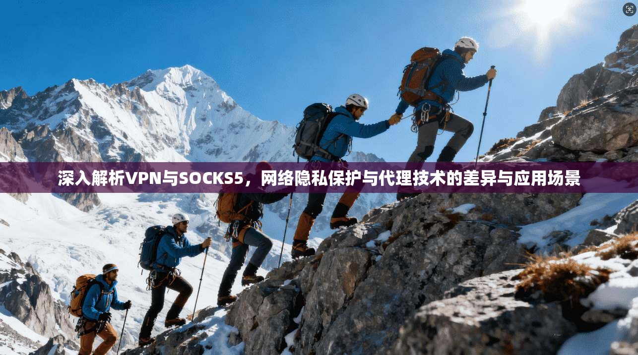 深入解析VPN与SOCKS5，网络隐私保护与代理技术的差异与应用场景