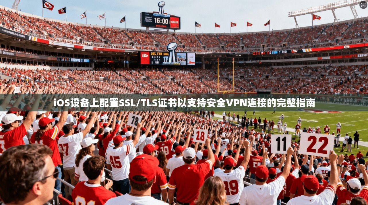 iOS设备上配置SSL/TLS证书以支持安全VPN连接的完整指南