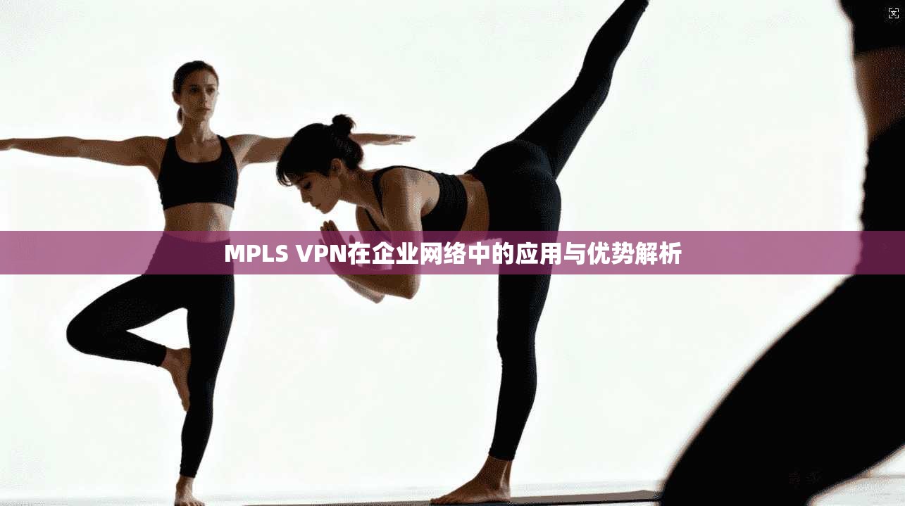 MPLS VPN在企业网络中的应用与优势解析