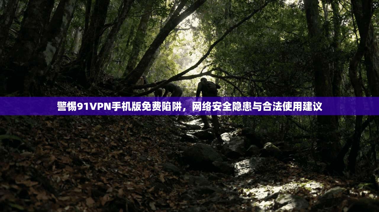 警惕91VPN手机版免费陷阱，网络安全隐患与合法使用建议