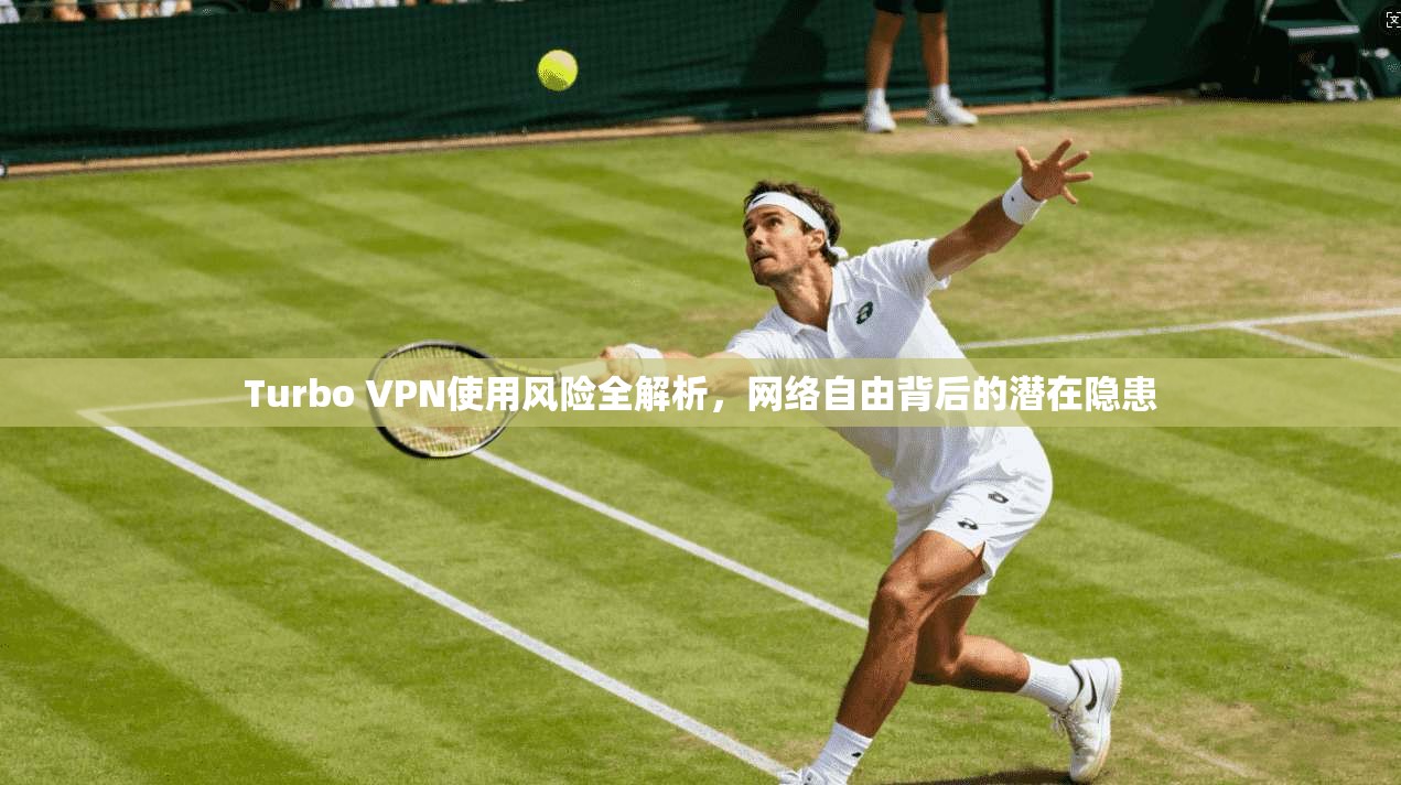 Turbo VPN使用风险全解析，网络自由背后的潜在隐患
