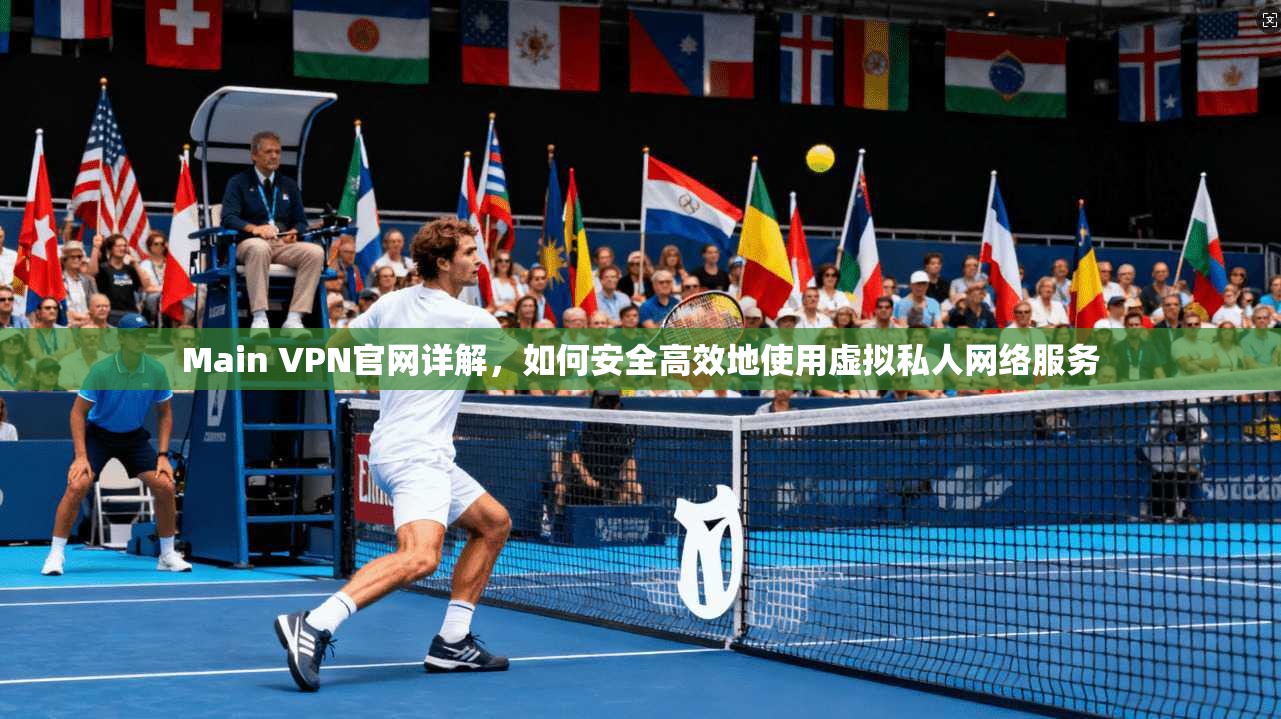 Main VPN官网详解，如何安全高效地使用虚拟私人网络服务