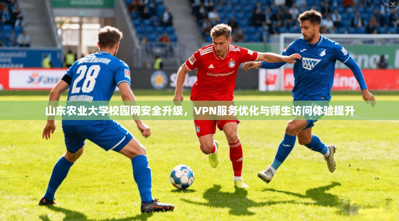 山东农业大学校园网安全升级，VPN服务优化与师生访问体验提升