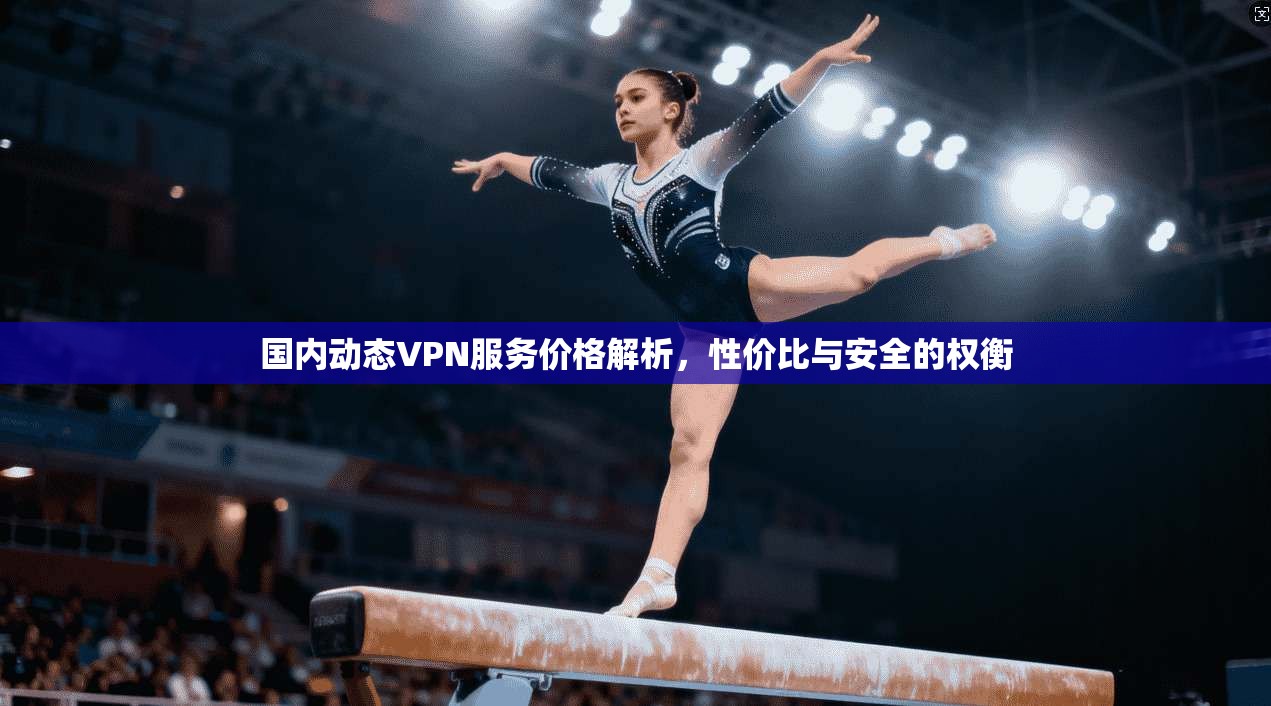 国内动态VPN服务价格解析，性价比与安全的权衡