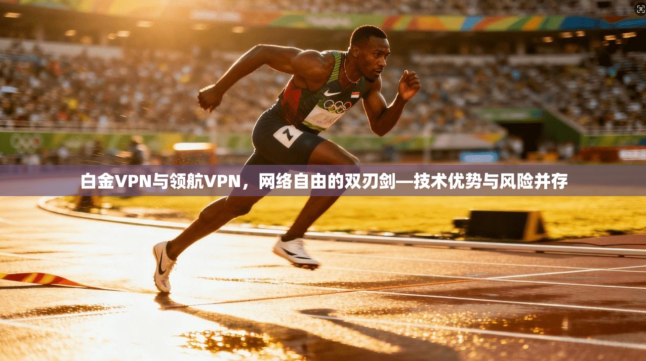 白金VPN与领航VPN，网络自由的双刃剑—技术优势与风险并存