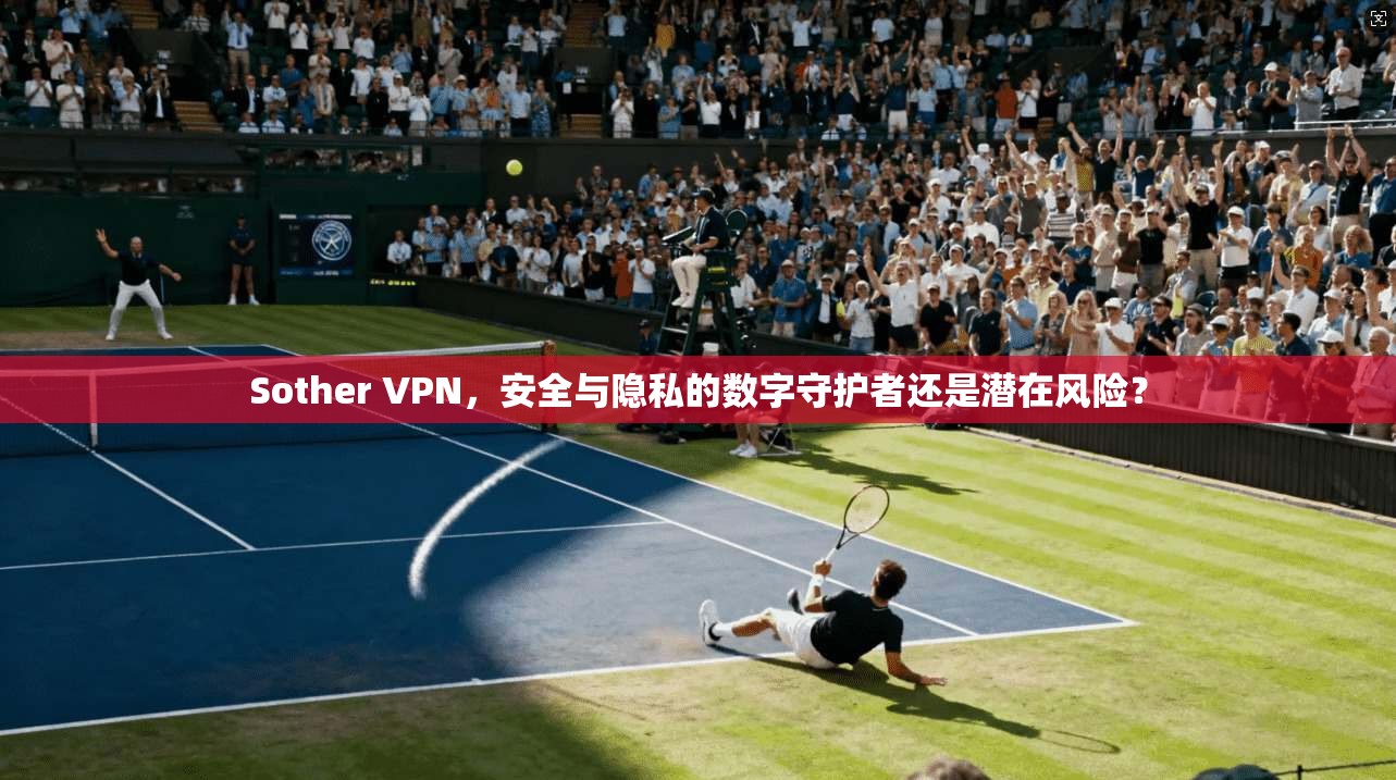 Sother VPN，安全与隐私的数字守护者还是潜在风险？