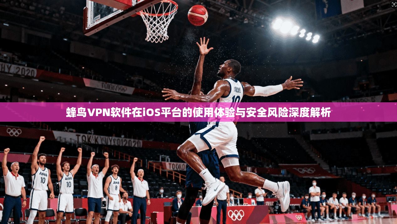 蜂鸟VPN软件在iOS平台的使用体验与安全风险深度解析