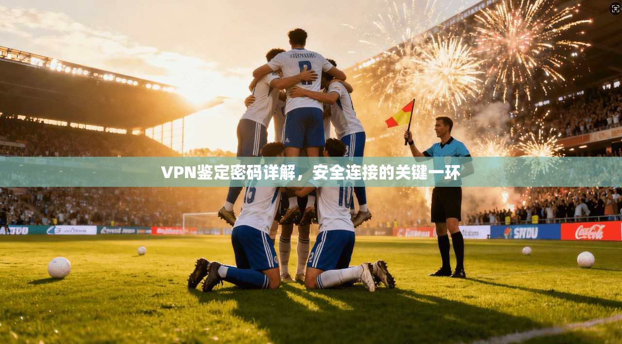 VPN鉴定密码详解，安全连接的关键一环