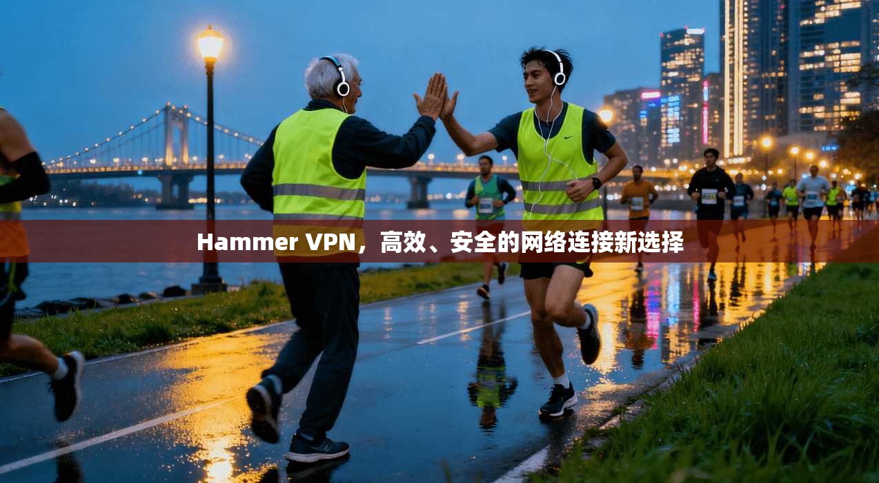 Hammer VPN，高效、安全的网络连接新选择