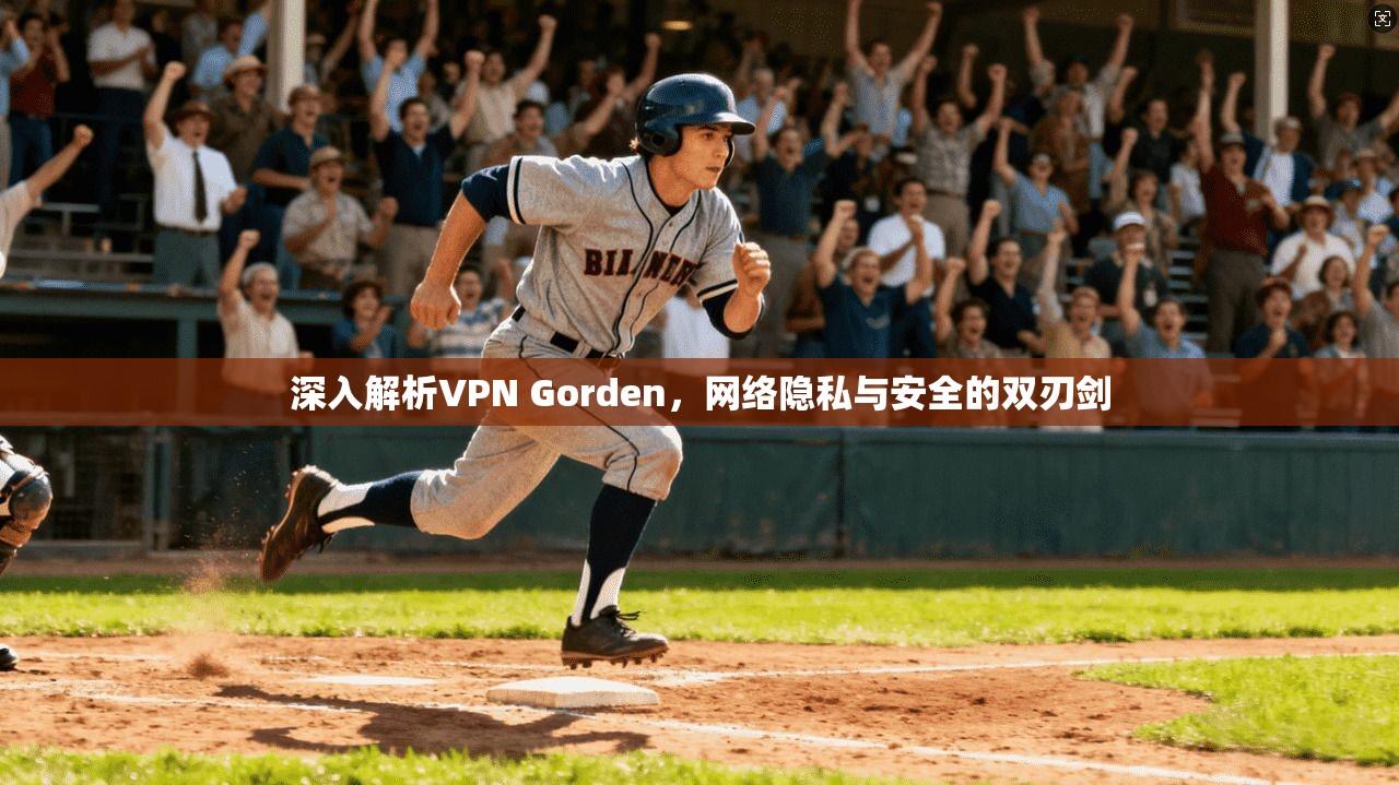 深入解析VPN Gorden，网络隐私与安全的双刃剑