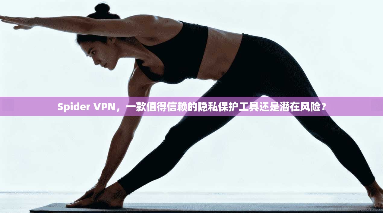 Spider VPN，一款值得信赖的隐私保护工具还是潜在风险？