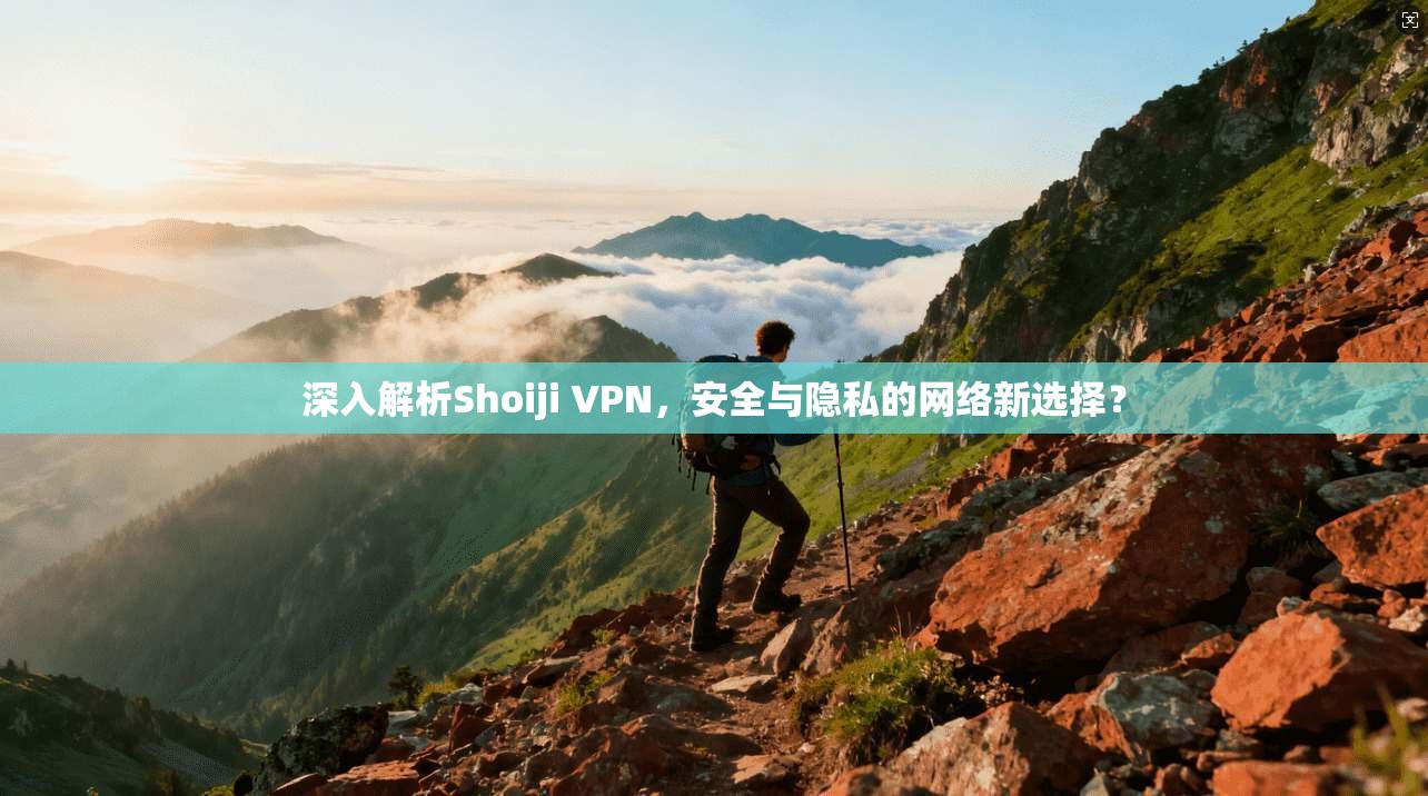 深入解析Shoiji VPN，安全与隐私的网络新选择？