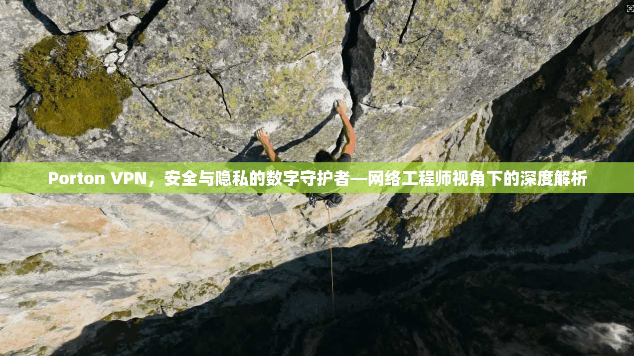 Porton VPN，安全与隐私的数字守护者—网络工程师视角下的深度解析