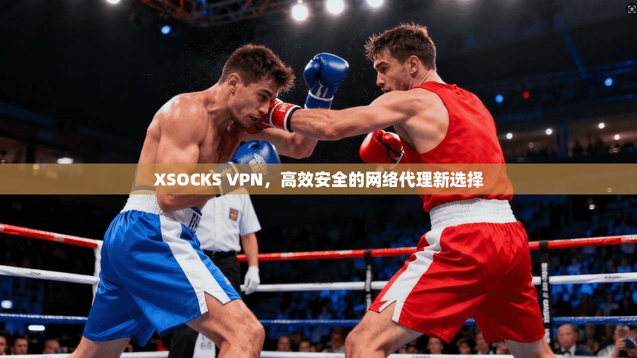 XSOCKS VPN，高效安全的网络代理新选择