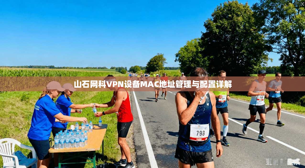 山石网科VPN设备MAC地址管理与配置详解