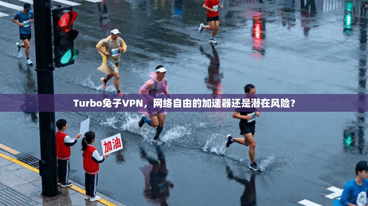 Turbo兔子VPN，网络自由的加速器还是潜在风险？
