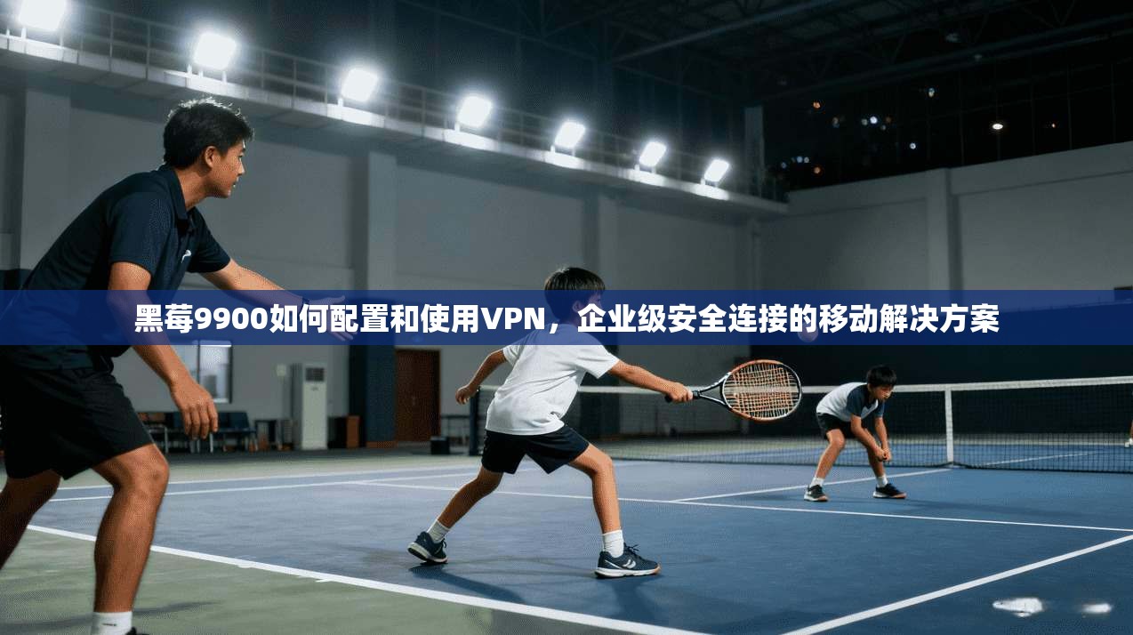 黑莓9900如何配置和使用VPN，企业级安全连接的移动解决方案