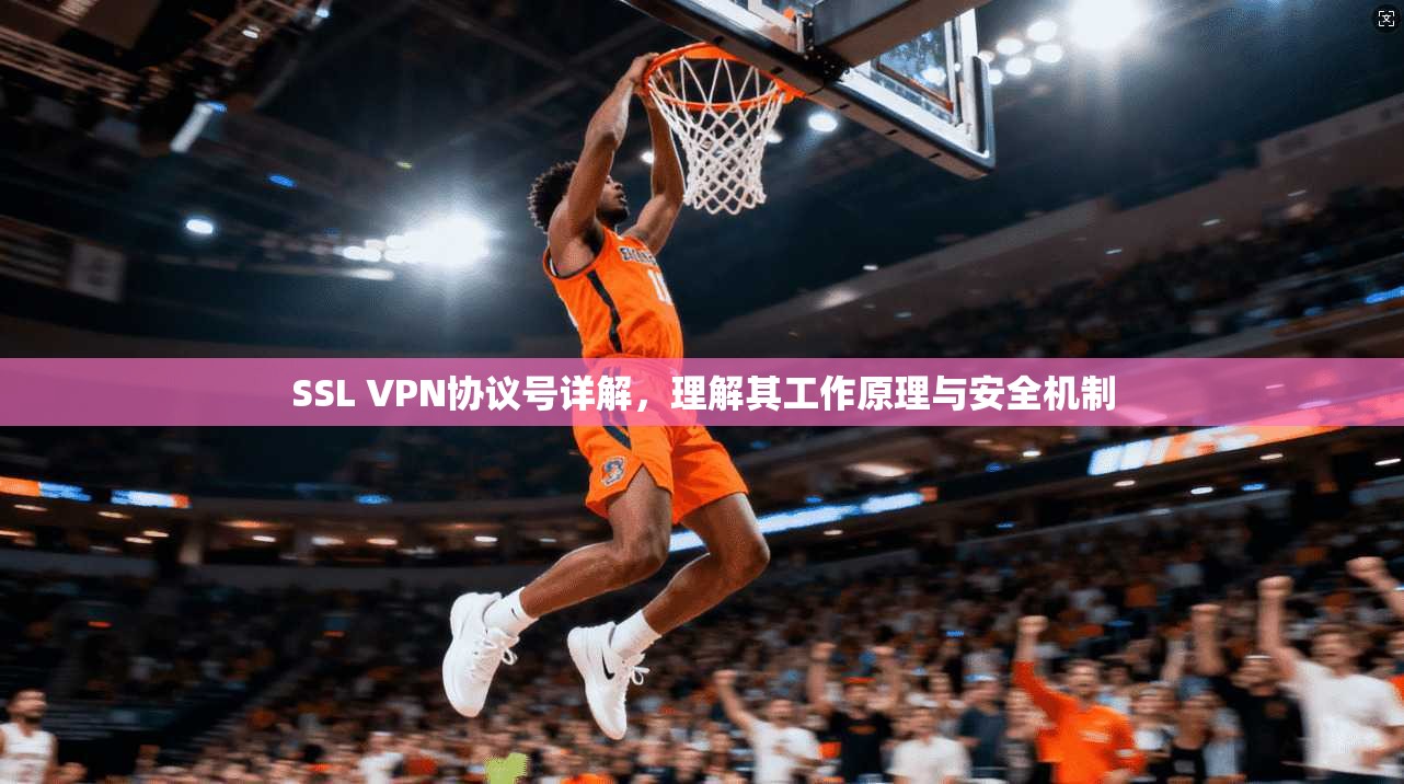 SSL VPN协议号详解，理解其工作原理与安全机制