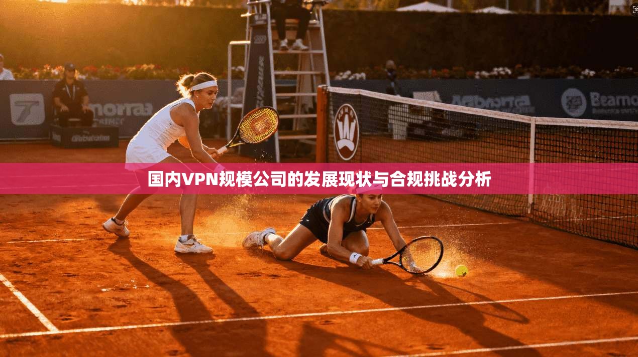 国内VPN规模公司的发展现状与合规挑战分析