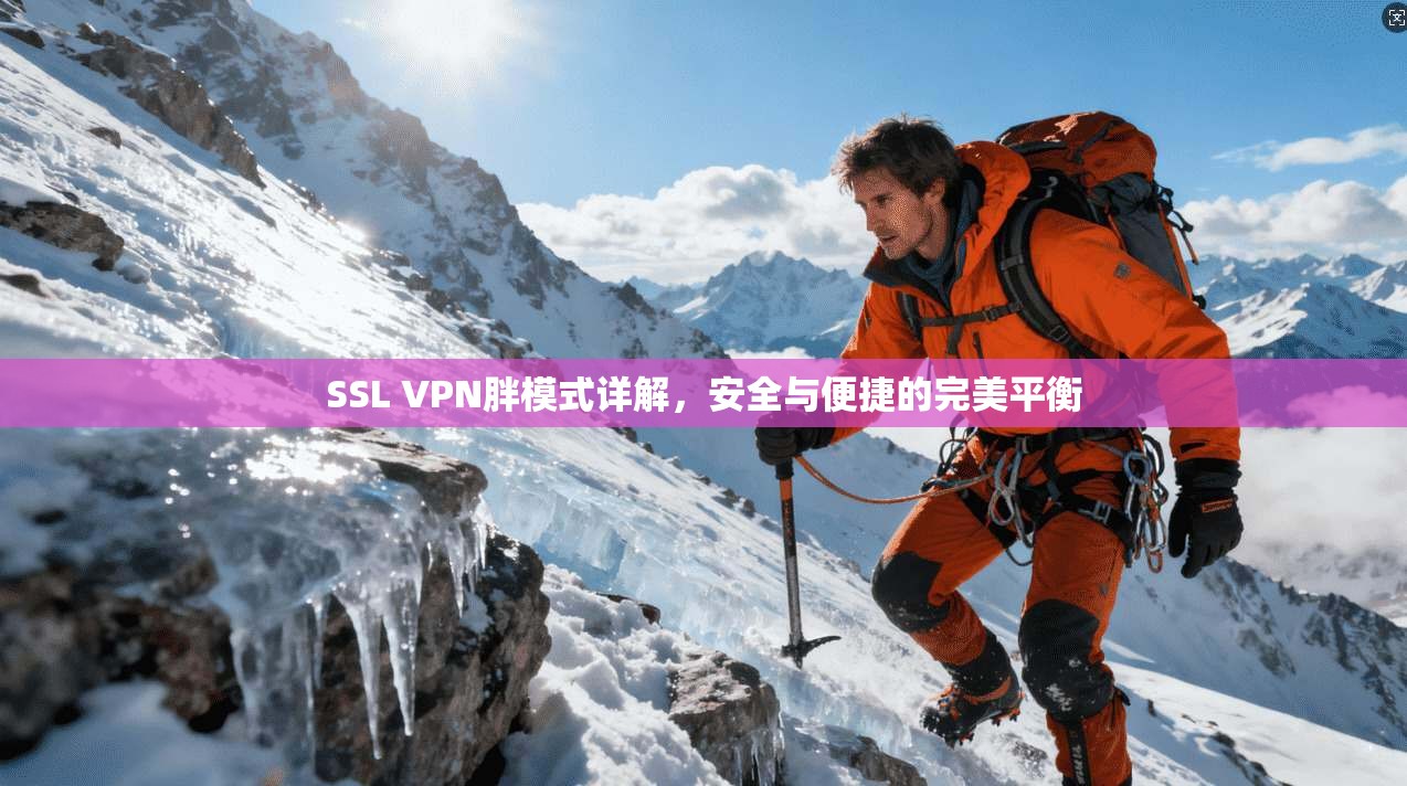 SSL VPN胖模式详解，安全与便捷的完美平衡