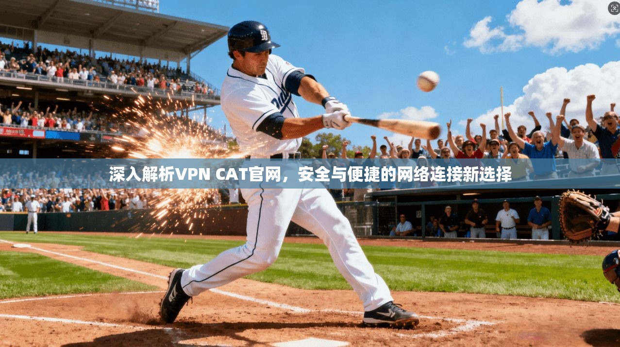 深入解析VPN CAT官网，安全与便捷的网络连接新选择