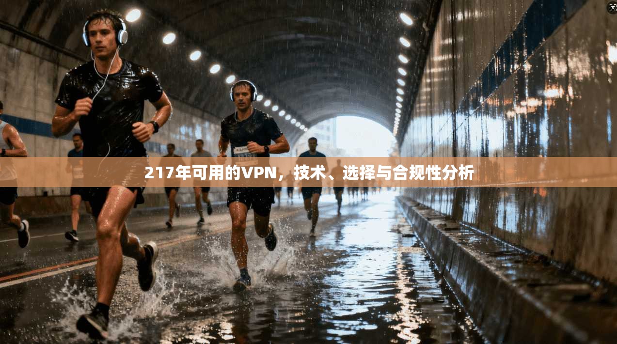 217年可用的VPN，技术、选择与合规性分析