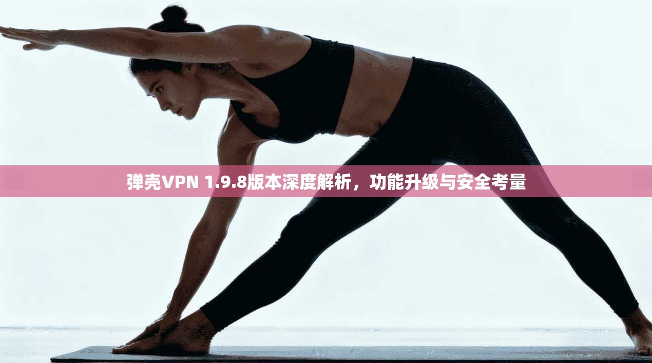 弹壳VPN 1.9.8版本深度解析，功能升级与安全考量