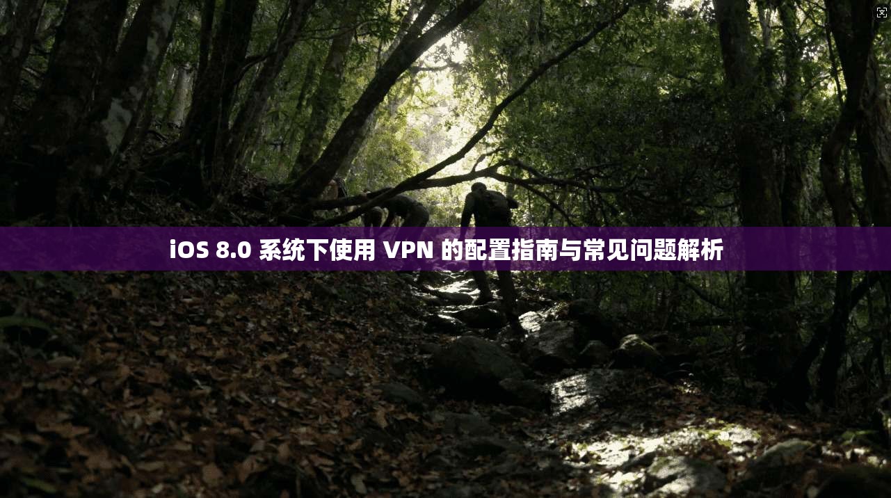 iOS 8.0 系统下使用 VPN 的配置指南与常见问题解析