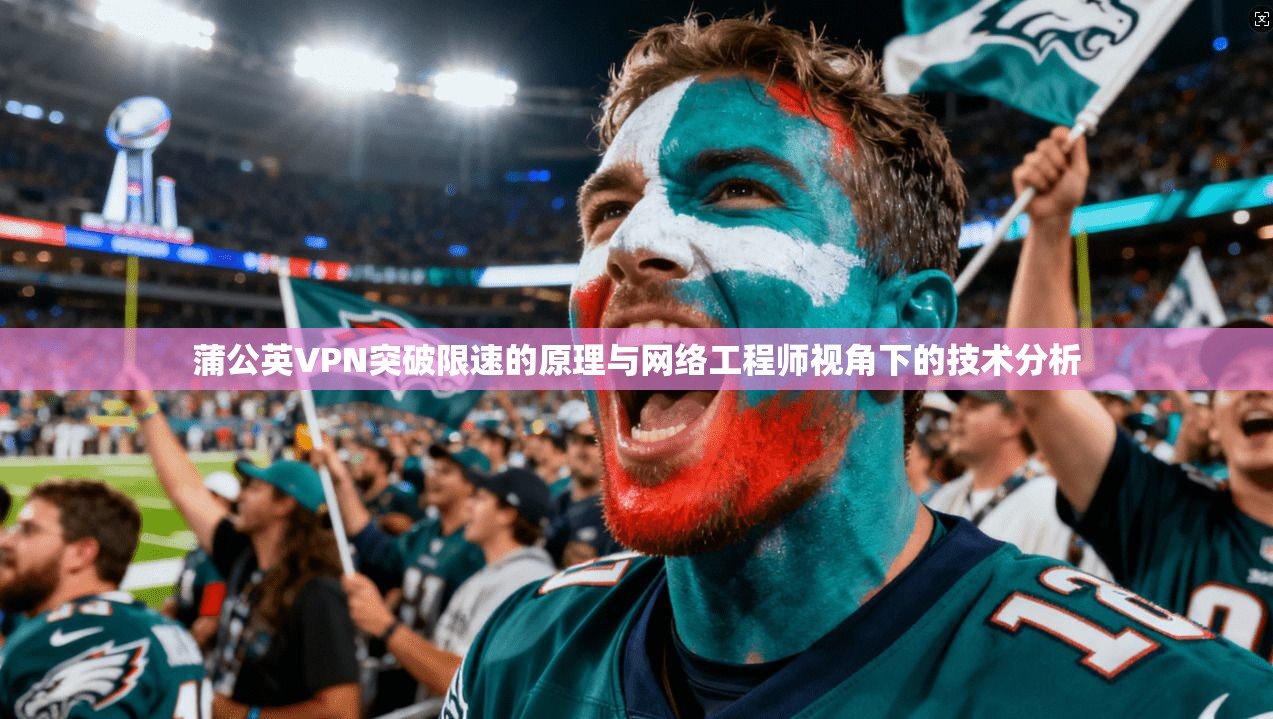 蒲公英VPN突破限速的原理与网络工程师视角下的技术分析