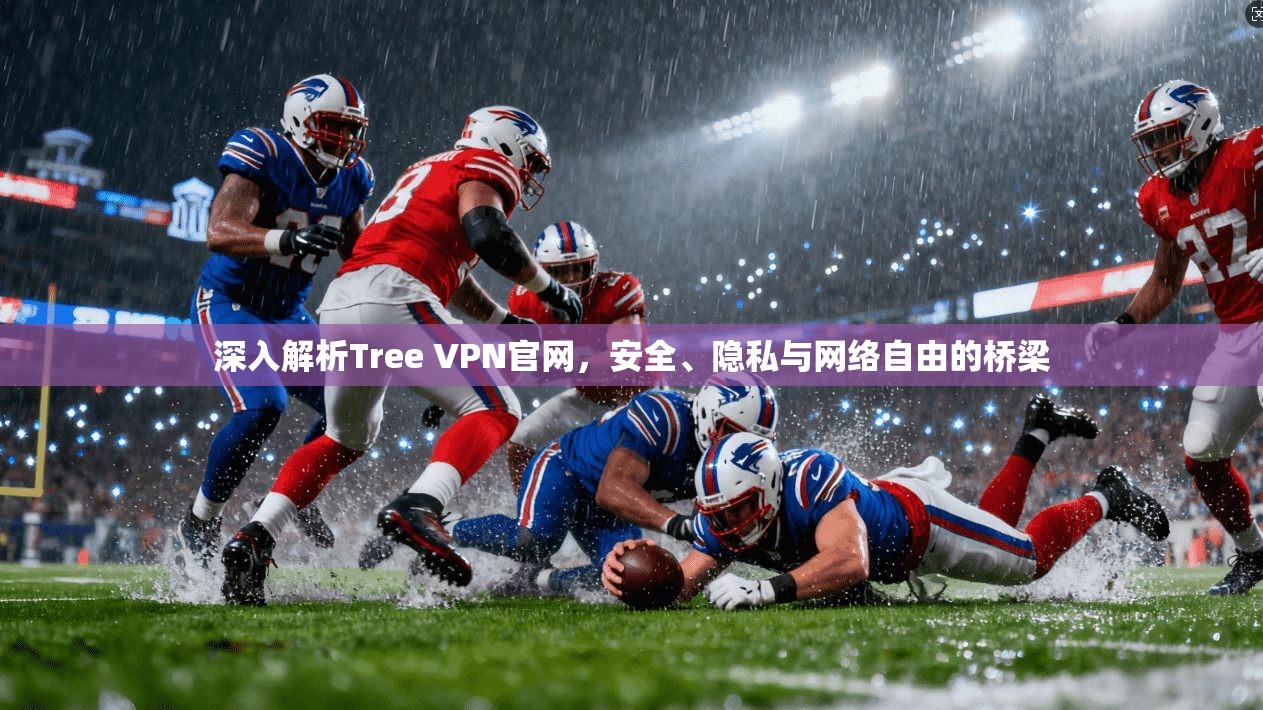 深入解析Tree VPN官网,安全、隐私与网络自由的桥梁