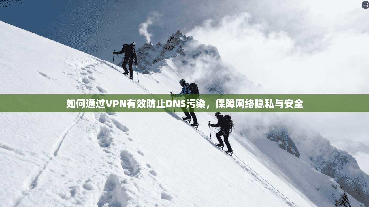 如何通过VPN有效防止DNS污染，保障网络隐私与安全