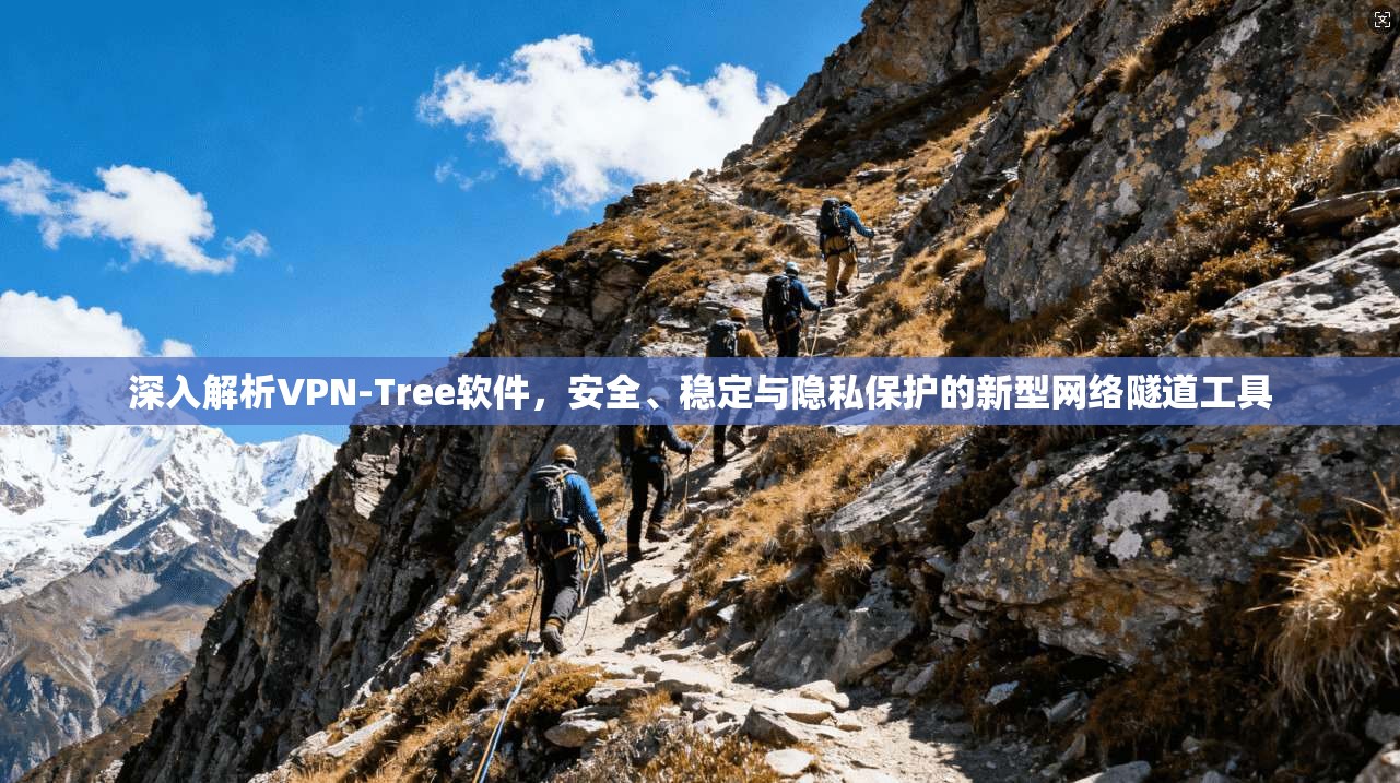 深入解析VPN-Tree软件，安全、稳定与隐私保护的新型网络隧道工具