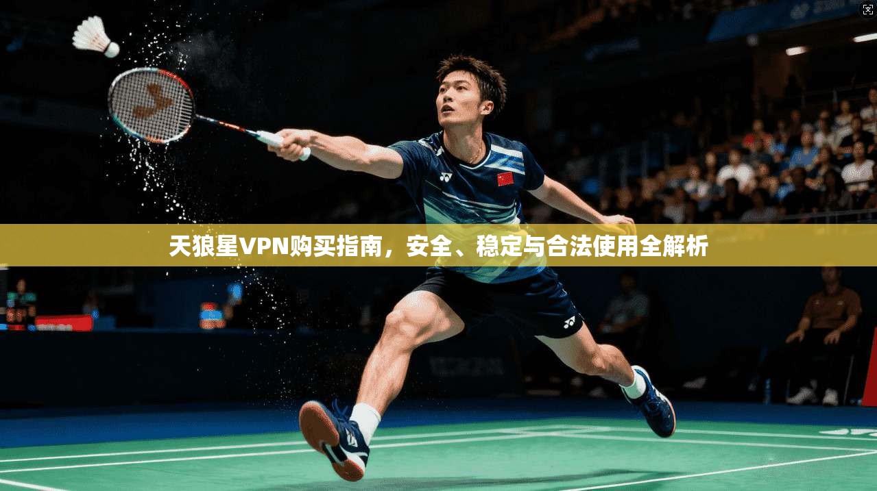 天狼星VPN购买指南，安全、稳定与合法使用全解析
