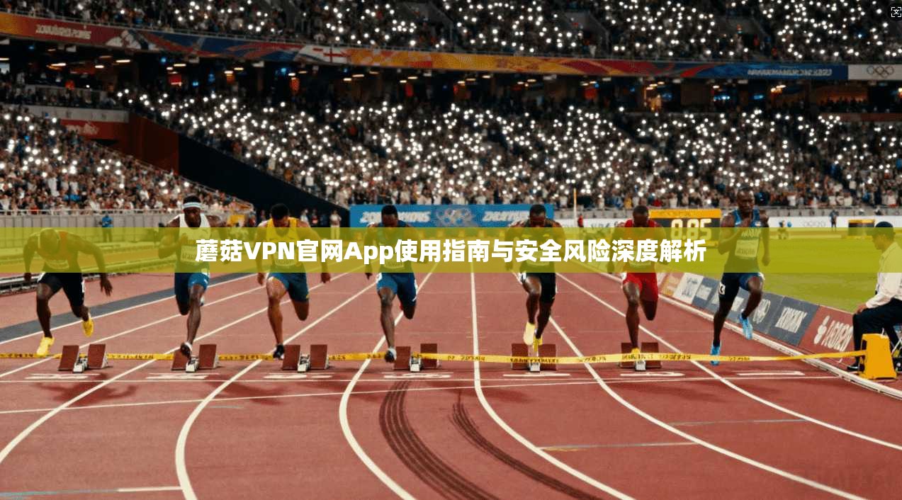 蘑菇VPN官网App使用指南与安全风险深度解析