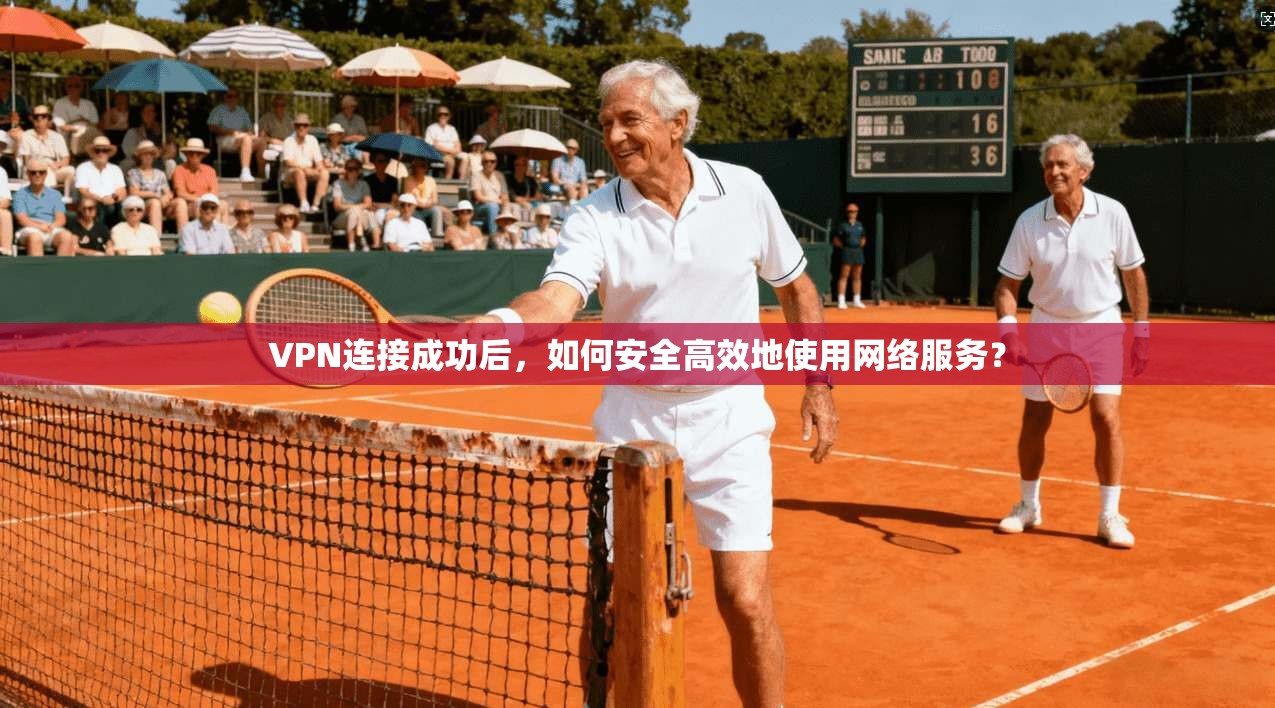 VPN连接成功后，如何安全高效地使用网络服务？