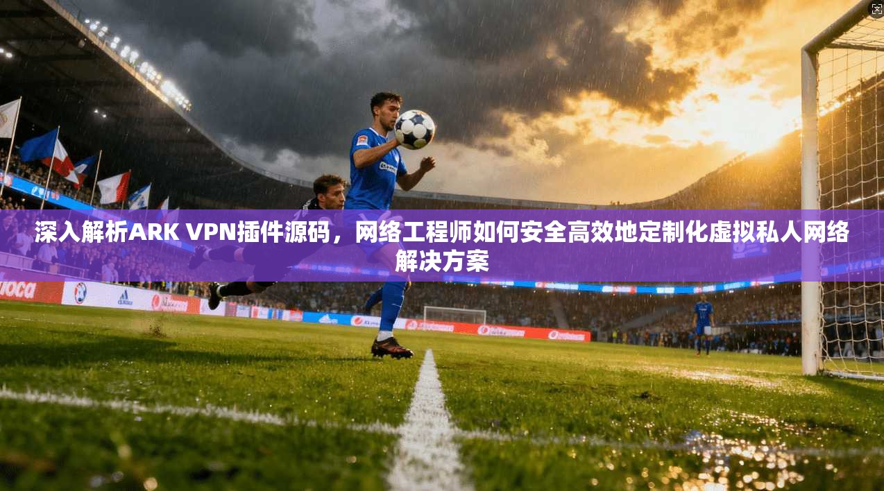 深入解析ARK VPN插件源码，网络工程师如何安全高效地定制化虚拟私人网络解决方案