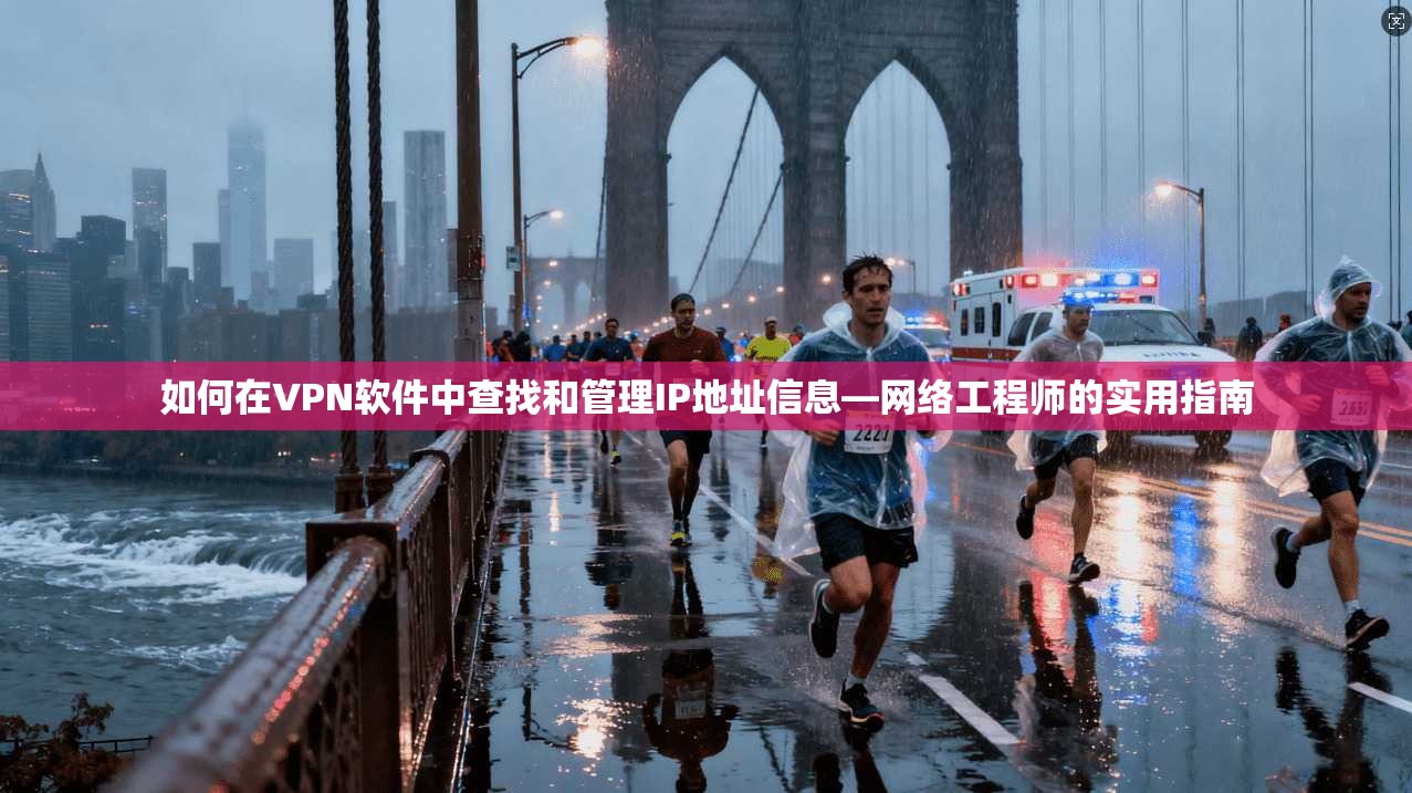 如何在VPN软件中查找和管理IP地址信息—网络工程师的实用指南