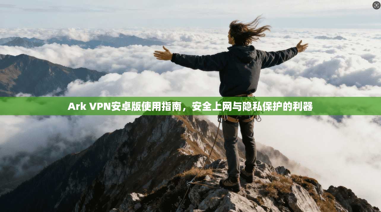 Ark VPN安卓版使用指南，安全上网与隐私保护的利器