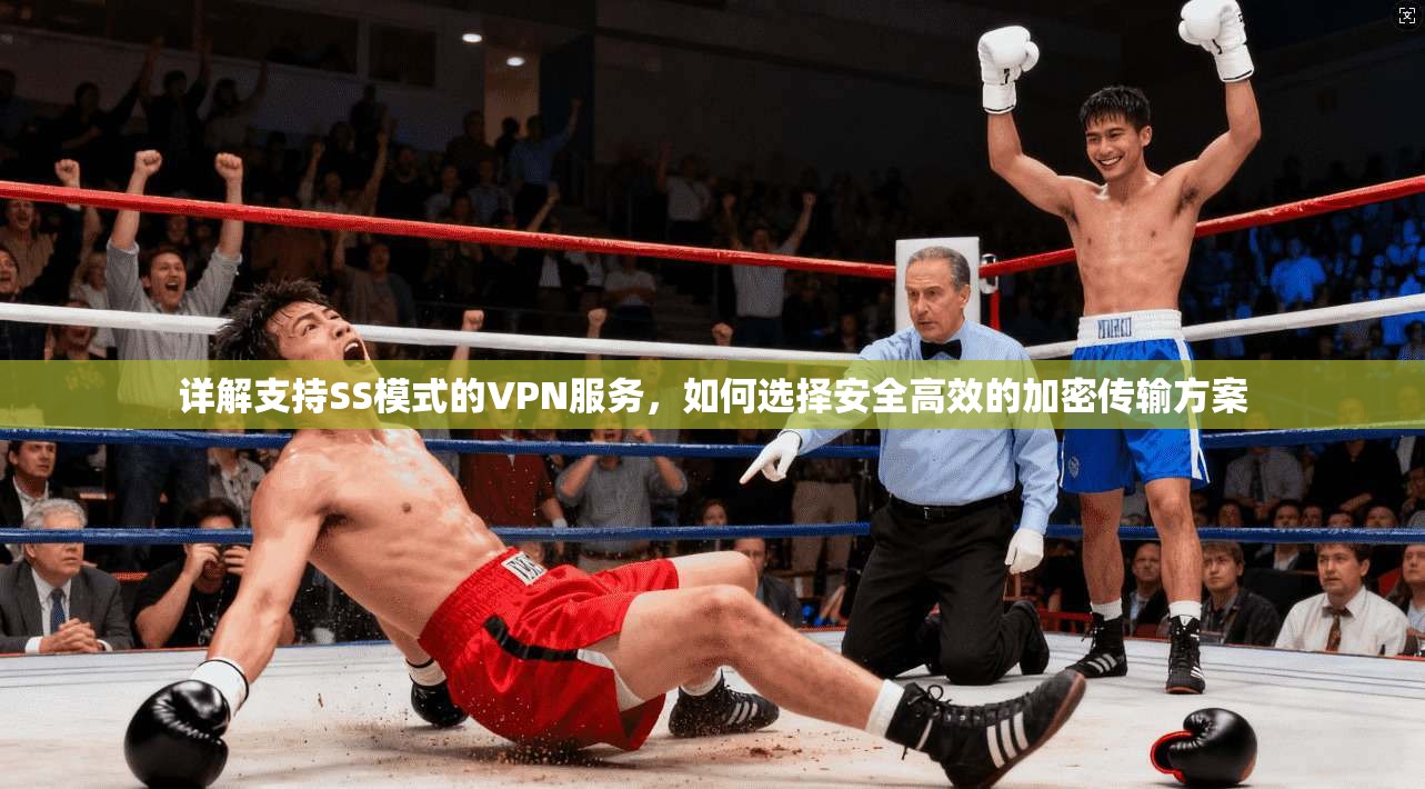 详解支持SS模式的VPN服务，如何选择安全高效的加密传输方案