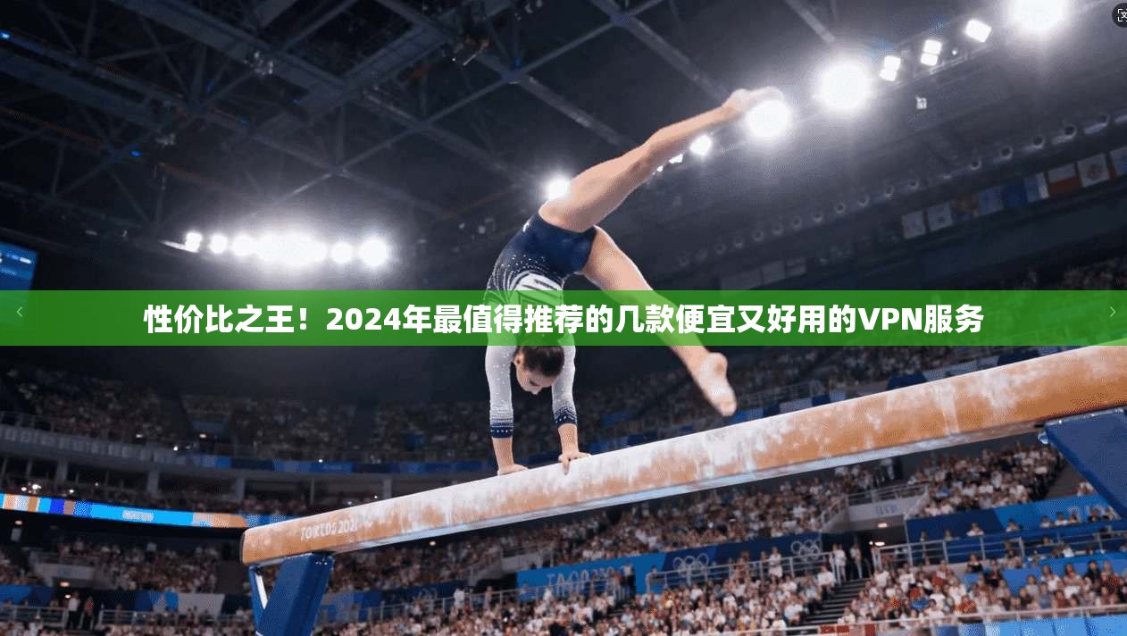 性价比之王!2024年最值得推荐的几款便宜又好用的VPN服务
